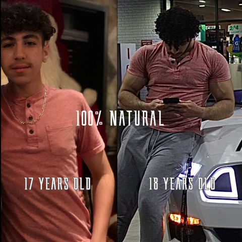 RKGAINS DREAM BODY PLAN