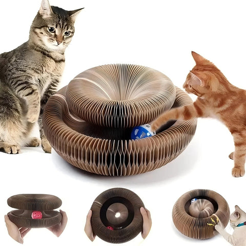 Magic Organ Cat Scratch Board Toy with Ball